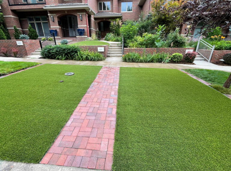Front Yard with turf