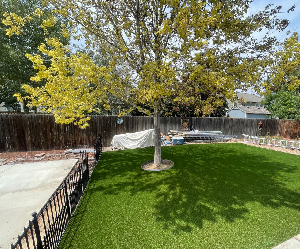 Yard with tree planted in turf