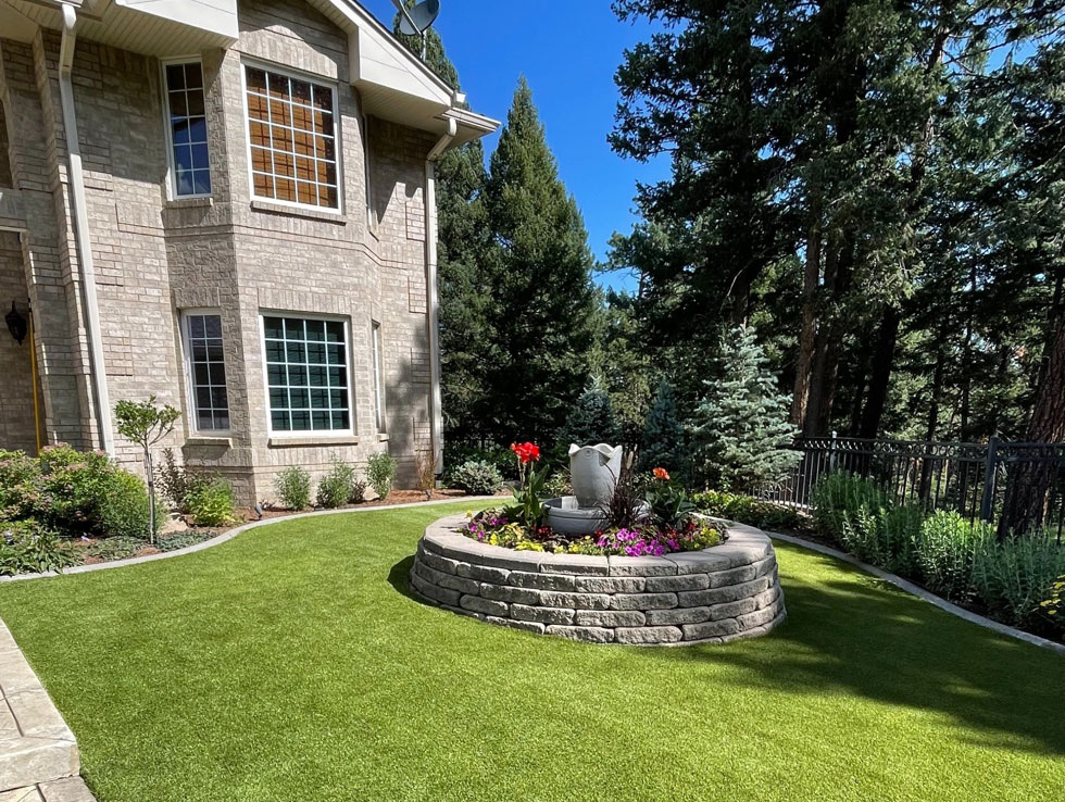 Turf in front yard of house