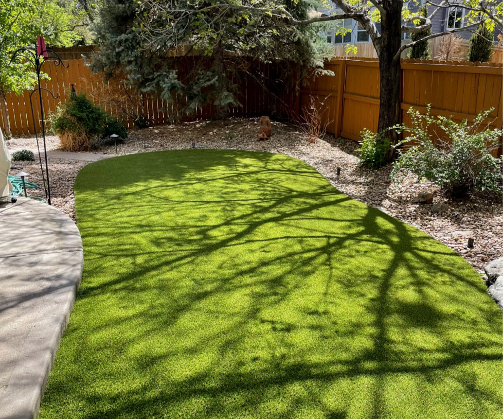 Backyard with turf