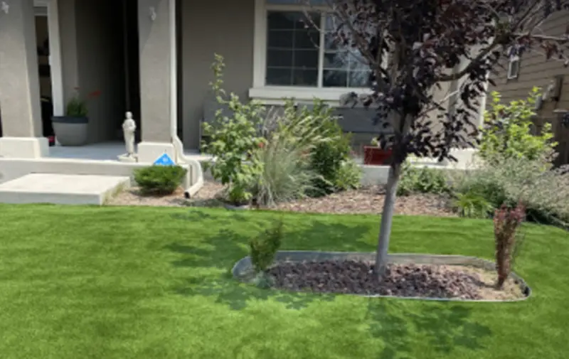 artificial turf in a front yard landscape