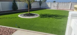 residential artificial turf in landscape surrounding a tree