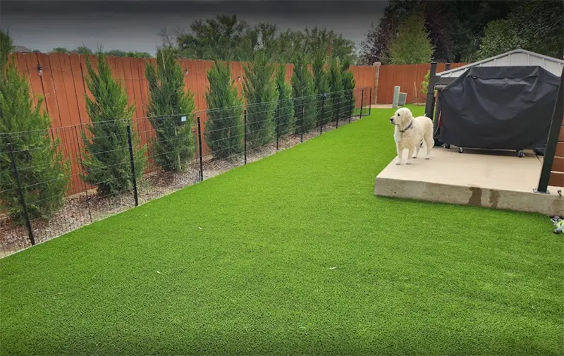 artificial turf in backyard with grill and pet dog