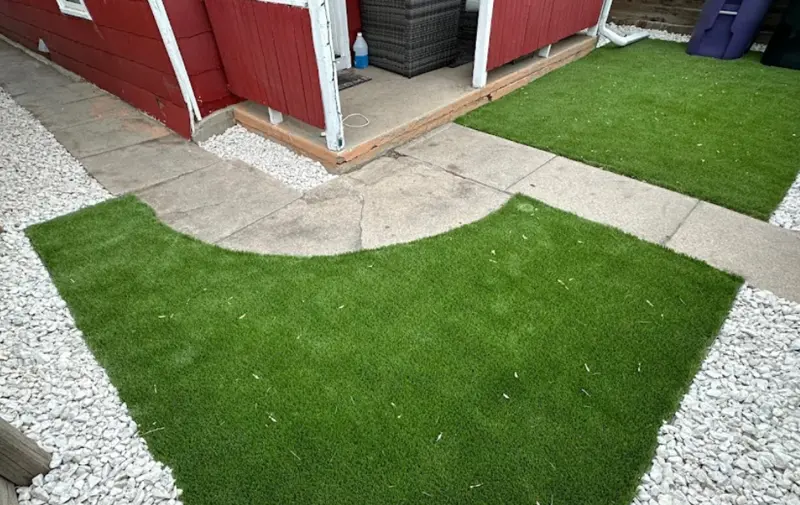 artificial turf surrounding a backyard shed