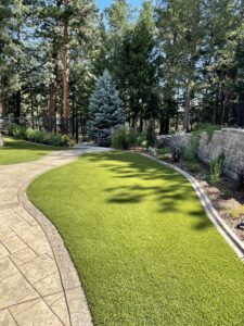 artificial turf mixed with plant border